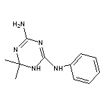 6,6-dimethyl-N~2~-phenyl-1,6-dihydro-1,3,5-triazine-2,4-diamine