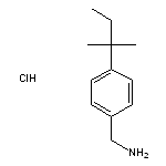 [4-(2-methylbutan-2-yl)phenyl]methanamine hydrochloride