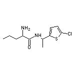 2-amino-N-[1-(5-chlorothiophen-2-yl)ethyl]pentanamide