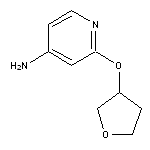 2-(oxolan-3-yloxy)pyridin-4-amine