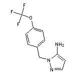 1-{[4-(trifluoromethoxy)phenyl]methyl}-1H-pyrazol-5-amine