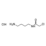 N-(4-aminobutyl)-2-chloroacetamide hydrochloride