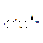 2-[(3-Tetrahydrofuranyl)oxy]isonicotinic Acid