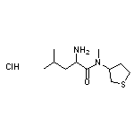 2-amino-N,4-dimethyl-N-(thiolan-3-yl)pentanamide hydrochloride