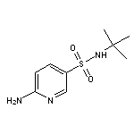 6-amino-N-tert-butylpyridine-3-sulfonamide