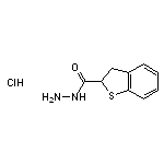 2,3-dihydro-1-benzothiophene-2-carbohydrazide hydrochloride