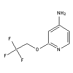 2-(2,2,2-trifluoroethoxy)pyridin-4-amine