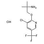 2-(2-amino-2-methylpropoxy)-3-chloro-5-(trifluoromethyl)pyridine hydrochloride