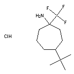 4-tert-butyl-1-(trifluoromethyl)cycloheptan-1-amine hydrochloride