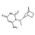 6-amino-1-(1-{bicyclo[2.2.1]heptan-2-yl}ethyl)-1,2,3,4-tetrahydropyrimidine-2,4-dione