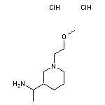 1-[1-(2-methoxyethyl)piperidin-3-yl]ethan-1-amine dihydrochloride