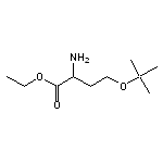 ethyl 2-amino-4-(tert-butoxy)butanoate