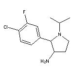 2-(4-chloro-3-fluorophenyl)-1-(propan-2-yl)pyrrolidin-3-amine