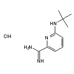 6-(tert-butylamino)pyridine-2-carboximidamide hydrochloride