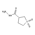 tetrahydrothiophene-3-carbohydrazide 1,1-dioxide