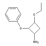 3-ethoxy-2-phenoxycyclobutan-1-amine