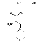 2-amino-3-(morpholin-4-yl)propanoic acid dihydrochloride