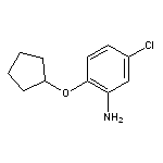 5-chloro-2-(cyclopentyloxy)aniline