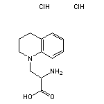 2-amino-3-(1,2,3,4-tetrahydroquinolin-1-yl)propanoic acid dihydrochloride