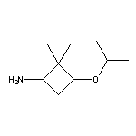 2,2-dimethyl-3-(propan-2-yloxy)cyclobutan-1-amine