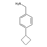 (4-cyclobutylphenyl)methanamine