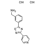 {3-[3-(pyridin-4-yl)-1,2,4-oxadiazol-5-yl]phenyl}methanamine dihydrochloride