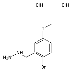 [(2-bromo-5-methoxyphenyl)methyl]hydrazine dihydrochloride