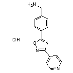 {4-[3-(pyridin-4-yl)-1,2,4-oxadiazol-5-yl]phenyl}methanamine hydrochloride