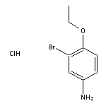 3-bromo-4-ethoxyaniline hydrochloride