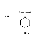 1-(2-methylpropane-2-sulfonyl)piperidin-4-amine hydrochloride