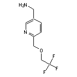 {6-[(2,2,2-trifluoroethoxy)methyl]pyridin-3-yl}methanamine