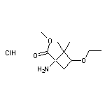 methyl 1-amino-3-ethoxy-2,2-dimethylcyclobutane-1-carboxylate hydrochloride