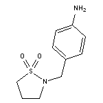 4-[(1,1-dioxidoisothiazolidin-2-yl)methyl]aniline