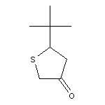 5-tert-butylthiolan-3-one