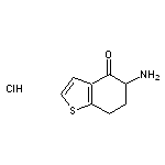 5-amino-4,5,6,7-tetrahydro-1-benzothiophen-4-one hydrochloride