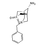 (1R,5S,9r)-9-amino-7-benzyl-3$l^{6}-thia-7-azabicyclo[3.3.1]nonane-3,3-dione