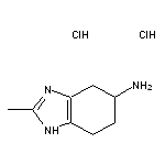 2-methyl-4,5,6,7-tetrahydro-1H-1,3-benzodiazol-5-amine dihydrochloride