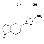 2-(3-aminocyclobutyl)-octahydropyrrolo[1,2-a]piperazin-6-one dihydrochloride