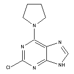 2-chloro-6-(pyrrolidin-1-yl)-9H-purine