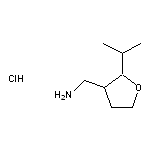 [2-(propan-2-yl)oxolan-3-yl]methanamine hydrochloride