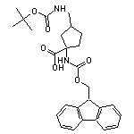 3-({[(tert-butoxy)carbonyl]amino}methyl)-1-{[(9H-fluoren-9-ylmethoxy)carbonyl]amino}cyclopentane-1-carboxylic acid