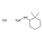 (2,2-dimethylcyclohexyl)hydrazine hydrochloride