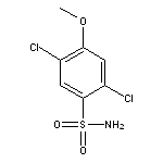 2,5-dichloro-4-methoxybenzene-1-sulfonamide