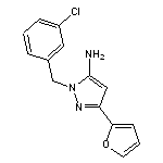 1-[(3-chlorophenyl)methyl]-3-(furan-2-yl)-1H-pyrazol-5-amine