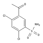 5-acetyl-2,4-dichlorobenzene-1-sulfonamide