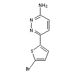 6-(5-bromothiophen-2-yl)pyridazin-3-amine