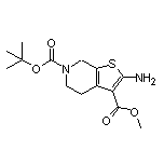 Methyl 2-Amino-6-Boc-4,5,6,7-tetrahydrothieno[2,3-c]pyridine-3-carboxylate