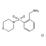 1-[2-(morpholin-4-ylsulfonyl)phenyl]methanamine hydrochloride