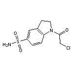 1-(chloroacetyl)indoline-5-sulfonamide