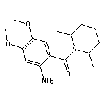 2-[(2,6-dimethylpiperidin-1-yl)carbonyl]-4,5-dimethoxyaniline